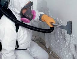 Mold Remediation for Rental Properties in Eustace, TX